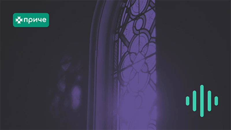 Опис слике за причу