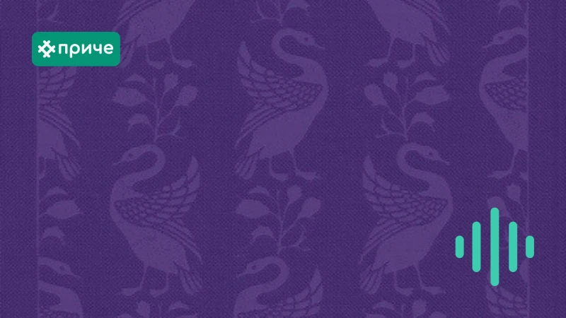 гордост и предрасуда