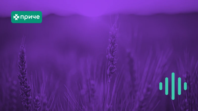 Опис слике за епизоду